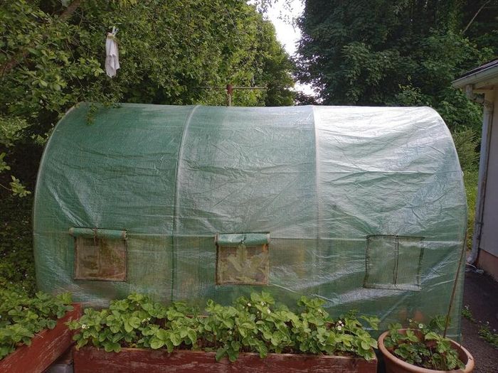 2 Strawberry Growing Boxes / Raised Planters