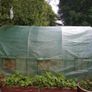 2 Strawberry Growing Boxes / Raised Planters Image 2