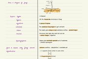 Leaving cert H1 Biology notes