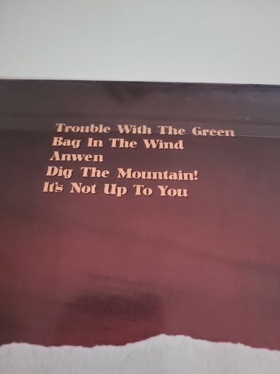 STORNOWAY Dig The Mountain coloured vinyl