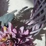Door Wreath Image 9