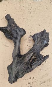 Collection of 4 Ancient Irish Bog Oak Pieces