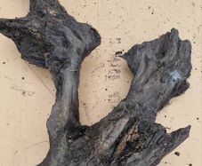 Collection of 4 Ancient Irish Bog Oak Pieces