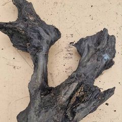 Collection of 4 Ancient Irish Bog Oak Pieces