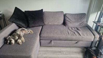 sofa bed