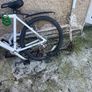Diamond Back Bicycle Image 4