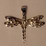 Silver Dragonfly Image 4