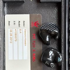 Heir Audio custom iems
