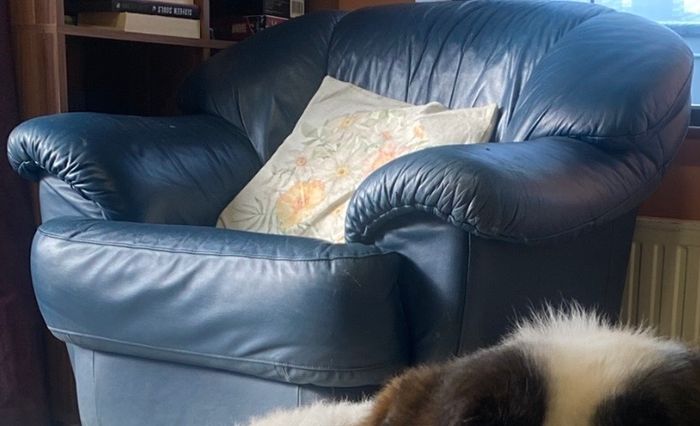 Leather couch + armchairs