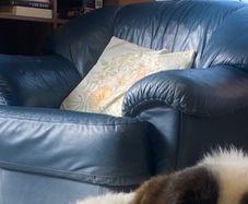 Leather couch + armchairs