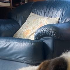 Leather couch + armchairs