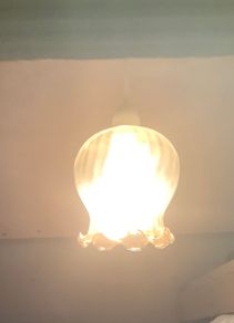 Retro Smoked Glass Shade