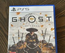 PS5 Ghost of Yotei