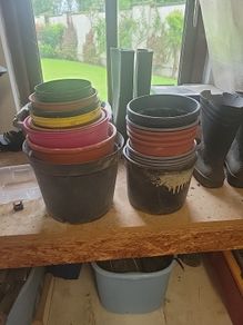 Free plant pots