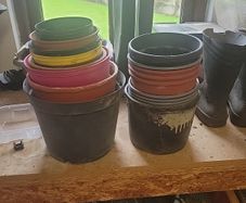 Free plant pots