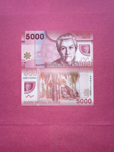Chile  5,000  Pesos. 2011    ( Uncirculated )pick  163 B . Polymer / Plastic .