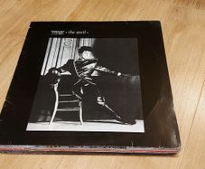 Massive Batch of Vinyl Records - all 15e Each