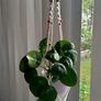 Indoor Plant Hangers Image 5