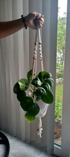 Indoor Plant Hangers