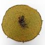 Palitoy Little Big Man Paratrooper Camo Parachute Image 5