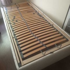 Single Electric Bed