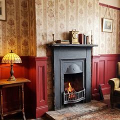 Vintage cast iron fireplace insert