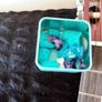 Beginner Classical Guitar Bundle - Case and Accessories - 60 EUR ono Image 3