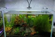 Fish tank clip on light Double heads Aquarium light