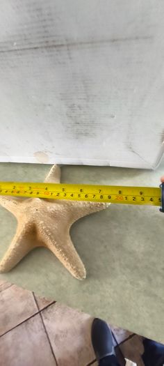 Large Natural Starfish: Unique Ocean Decor 19 x 17 cm.