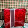 Piano accordion Parrot for kids Image 4
