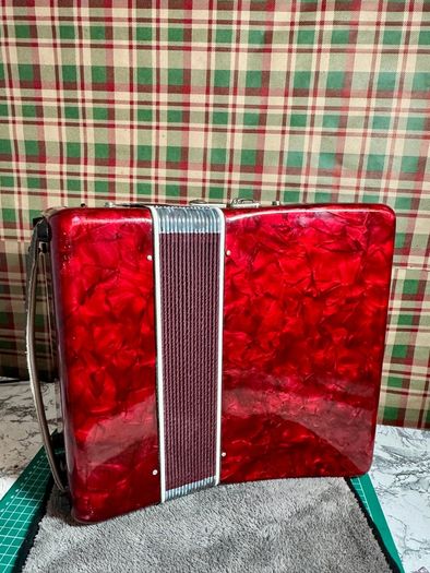 Piano accordion Parrot for kids