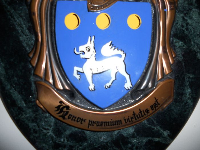 Vintage Coat of Arms , ("Flynn")