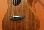 ukulele concert+ BEGINNERS COURSE + full bundle of accessories included!!!