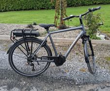 Trek verve + 1