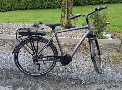 Trek verve + 1