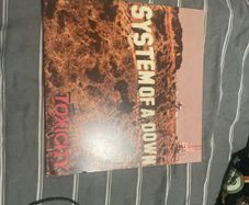 system of a down toxicity