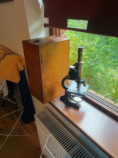 micro scope