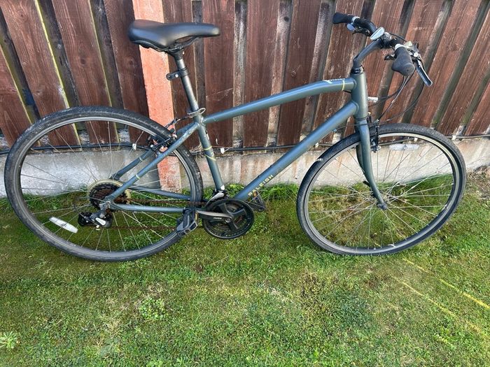 Raleigh Bike