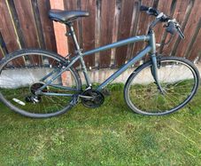 Raleigh Bike
