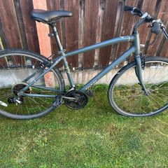 Raleigh Bike