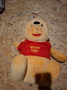 Winnie the Pooh