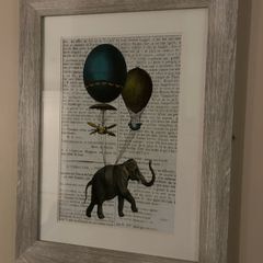 pictures