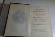 Gladstone- Parnell and the Great Irish struggle  - 1886