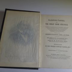 Gladstone- Parnell and the Great Irish struggle  - 1886