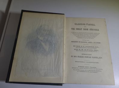 Gladstone- Parnell and the Great Irish struggle  - 1886