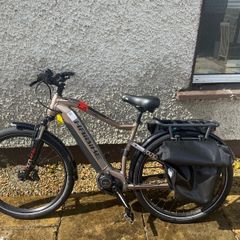 Electric bike