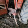Fiat 100-90 Image 6