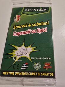 Glue Mouse & Rat Trap