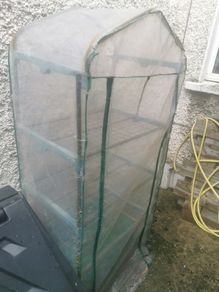 greenhouse