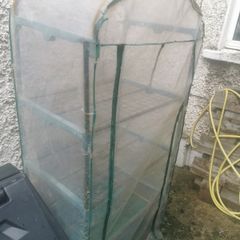 greenhouse